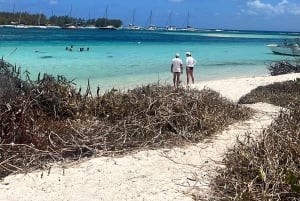 Blue Bay: Naucz się nurkować już dziś z CORAL DIVING Team