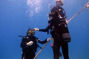 Blue Bay: Naucz się nurkować już dziś z CORAL DIVING Team