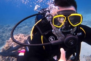 Blue Bay: Naucz się nurkować już dziś z CORAL DIVING Team