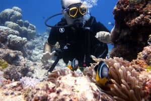 Blue Bay: Naucz się nurkować już dziś z CORAL DIVING Team