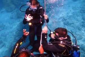 Blue Bay: Naucz się nurkować już dziś z CORAL DIVING Team