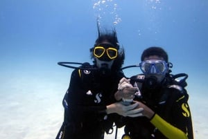 Blue Bay: Naucz się nurkować już dziś z CORAL DIVING Team