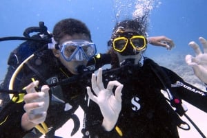 Blue Bay: Naucz się nurkować już dziś z CORAL DIVING Team