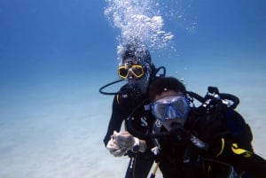 Blue Bay: Naucz się nurkować już dziś z CORAL DIVING Team