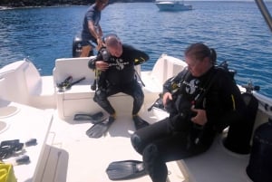 Blue Bay: Naucz się nurkować już dziś z CORAL DIVING Team