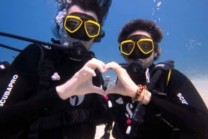 Blue Bay: Naucz się nurkować już dziś z CORAL DIVING Team