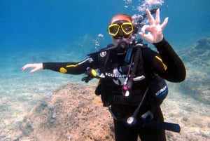 Blue Bay: Naucz się nurkować już dziś z CORAL DIVING Team