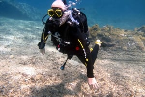 Blue Bay: Naucz się nurkować już dziś z CORAL DIVING Team