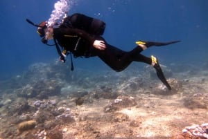 Blue Bay: Naucz się nurkować już dziś z CORAL DIVING Team