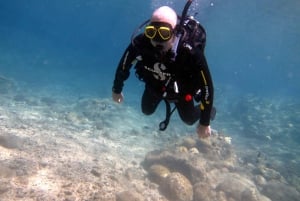 Blue Bay: Naucz się nurkować już dziś z CORAL DIVING Team