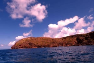 Blue Bay: Naucz się nurkować już dziś z CORAL DIVING Team