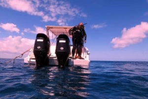 Blue Bay: Naucz się nurkować już dziś z CORAL DIVING Team