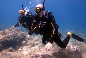 Blue Bay: Naucz się nurkować już dziś z CORAL DIVING Team