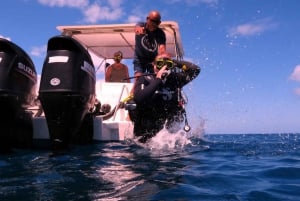 Blue Bay: Naucz się nurkować już dziś z CORAL DIVING Team