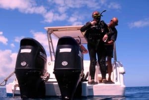 Blue Bay: Naucz się nurkować już dziś z CORAL DIVING Team