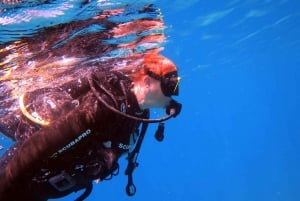 Blue Bay: Naucz się nurkować już dziś z CORAL DIVING Team