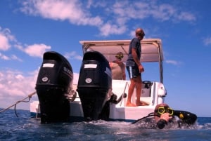 Blue Bay: Naucz się nurkować już dziś z CORAL DIVING Team