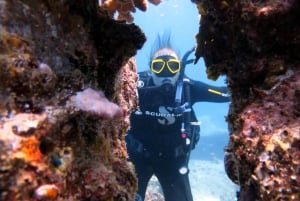 Blue Bay: Naucz się nurkować już dziś z CORAL DIVING Team