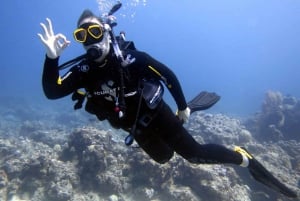 Blue Bay: Naucz się nurkować już dziś z CORAL DIVING Team