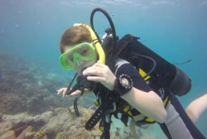 Blue Bay: IMPARA AD IMMERSIONARE OGGI con il CORAL DIVING TEAM