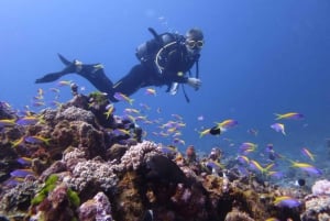 Blue Bay: IMPARA AD IMMERSIONARE OGGI con il CORAL DIVING TEAM