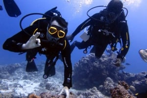 Blue Bay: IMPARA AD IMMERSIONARE OGGI con il CORAL DIVING TEAM