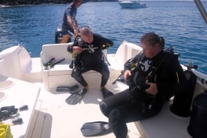 Blue Bay: IMPARA AD IMMERSIONARE OGGI con il CORAL DIVING TEAM