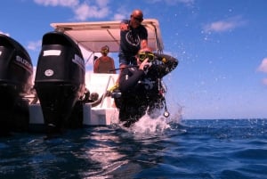 Blue Bay: IMPARA AD IMMERSIONARE OGGI con il CORAL DIVING TEAM