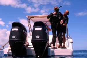 Blue Bay: IMPARA AD IMMERSIONARE OGGI con il CORAL DIVING TEAM