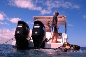 Blue Bay: IMPARA AD IMMERSIONARE OGGI con il CORAL DIVING TEAM
