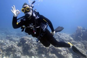 Blue Bay: IMPARA AD IMMERSIONARE OGGI con il CORAL DIVING TEAM