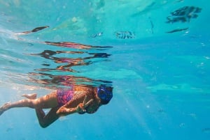 Blue Bay to Île aux Aigrettes: Exclusive Snorkeling Tour