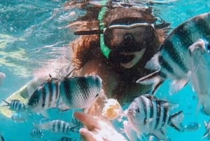 Blue Bay to Île aux Aigrettes: Exclusive Snorkeling Tour