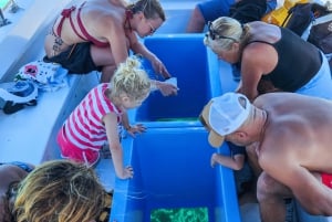 Blue Bay to Île aux Aigrettes: Exclusive Snorkeling Tour