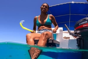 Blue Bay to Île aux Aigrettes: Exclusive Snorkeling Tour