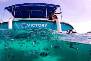 Blue Bay to Île aux Aigrettes: Exclusive Snorkeling Tour