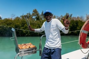 Blue Safari Full Day Catamaran Cruise: North East
