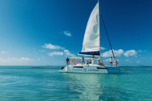 Blue Safari Full Day Catamaran Cruise: North East
