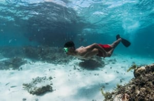 Blue Safari Full Day Catamaran Cruise: North East