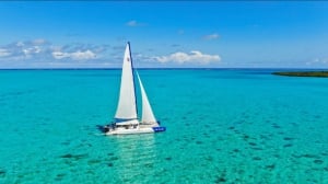 Blue Safari Full Day Catamaran Cruise: South East