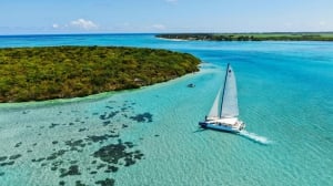 Blue Safari Full Day Catamaran Cruise: South East