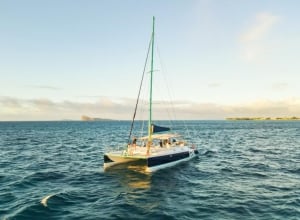 Blue Safari Full Day Catamaran Cruise: South East