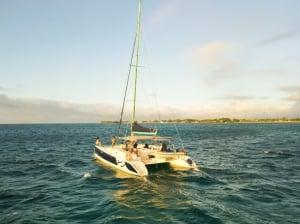 Blue Safari North Sunset Cruise