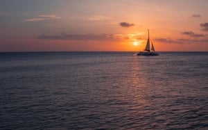 Blue Safari North Sunset Cruise