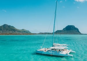 Blue Safari South West Full Day Cruise