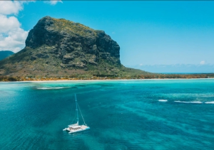 Blue Safari South West Full Day Cruise