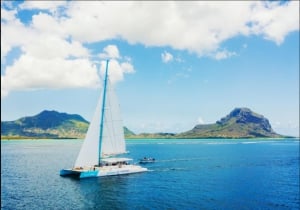 Blue Safari South West Full Day Cruise