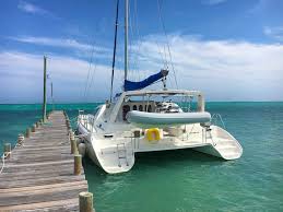 Blue Safari South West Full Day Cruise
