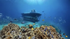 Blue Safari Submarine