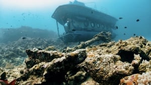 Blue Safari Submarine